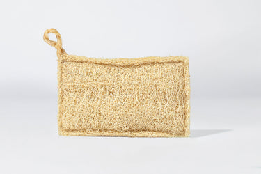 Starter Kit Luffa Schwamm